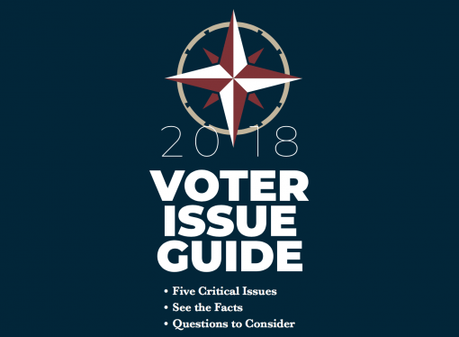 2018 Voter Issue Guide