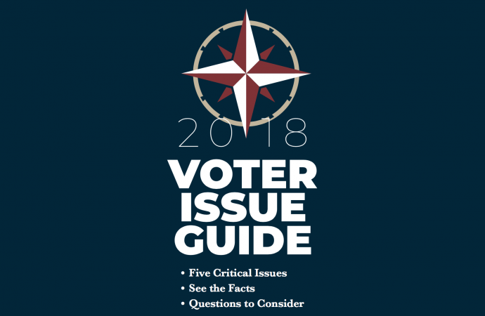2018 Voter Issue Guide