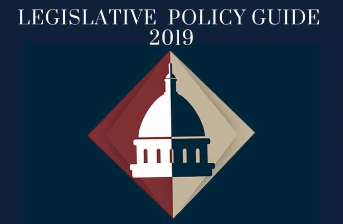 KPI Publishes the Legislative Policy Guide
